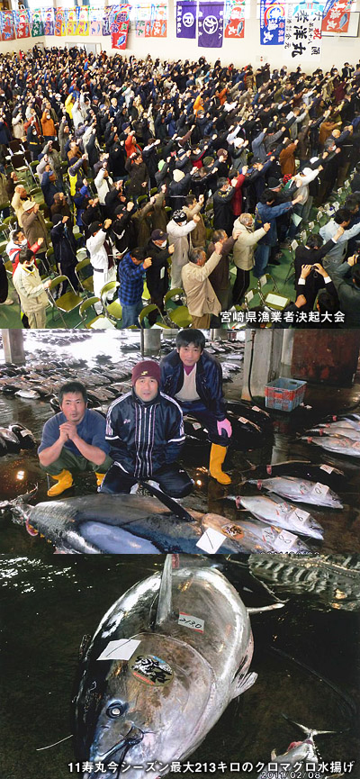宮崎県水産振興祭