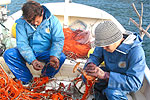 宮崎県漁業協同組合連合会